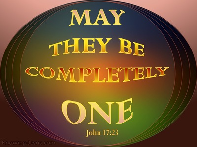 John 17:23